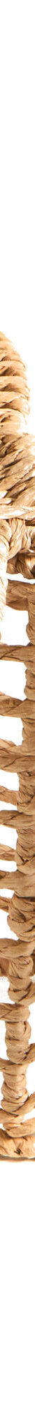 Decoratieve palmboom om neer te zetten (naturel) Decoratieve palmboom om neer te zetten (naturel)